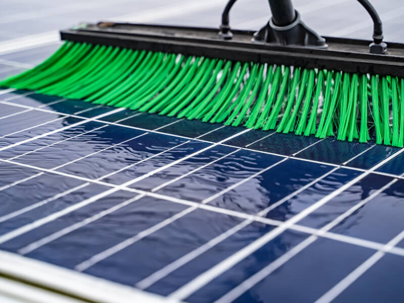 Solar Panel Cleaning Specialists